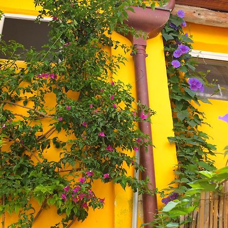 La Maison Jaune Сет Стая снимка